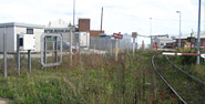 Compartment of wasteland vegetation
