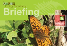 Newsletters
