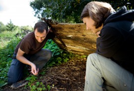 Wildlife Surveys