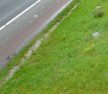 Strategic road improvement in Cambridgeshire