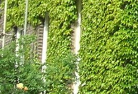 Green Roofs and Green Infrastructure at a Landscape Scale