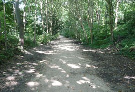 Ashmount School