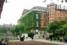 Education Kings College London