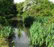 Farm Ponds Norfolk
