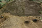 Farmland site in Essex