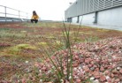 Green Roof London