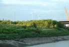 Leamouth Peninsula