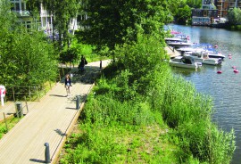 Ecology chapter for environmental statement for Beyond Green sustainable housing development, Norfolk