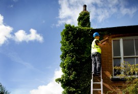 Bespoke bat surveys