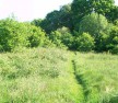 Wealden District Council PEA