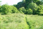 Wealden District Council PEA