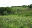 HS2 Multidisciplinary Project