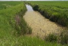 Drainage Ditch DP World Mitigation Habitat Enhancement Case Study