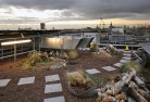 7 Air Street rooftop green roof breeam ecology survey
