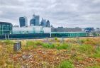 Green roof near London Bridge