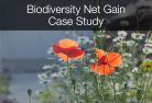 Biodiversity Net Gain case study - The Ecology Consultancy